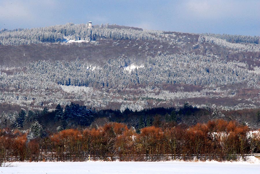 Pan_Huenerberg-Winterwald_08-900